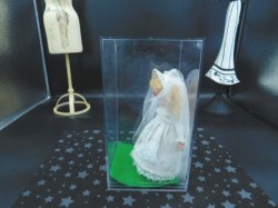 nancy ann bride box side